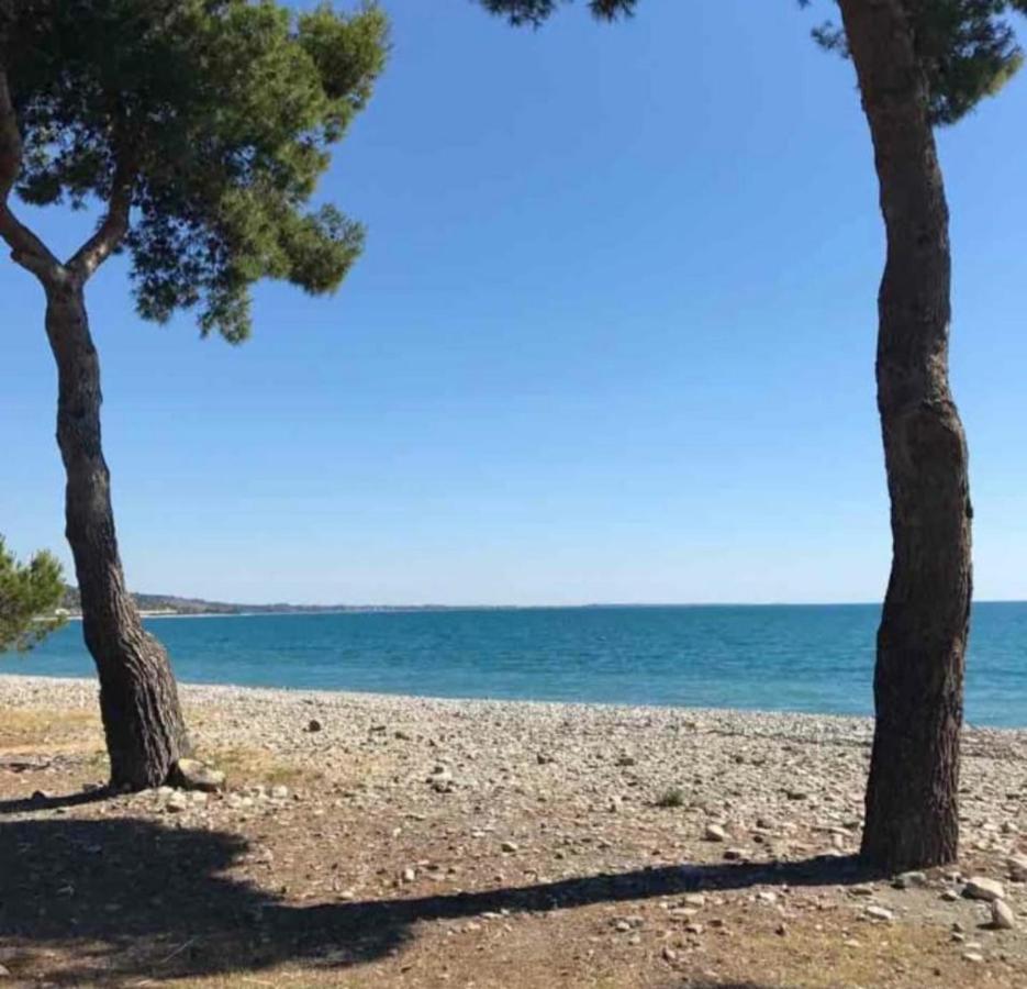 La Casa Al Mare Corallo Verde Montegiordano Eksteriør billede